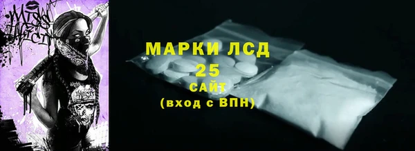 прущие грибы Михайлов