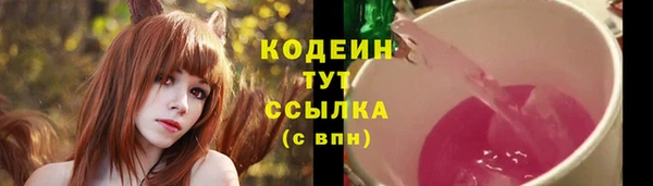прущие грибы Михайлов
