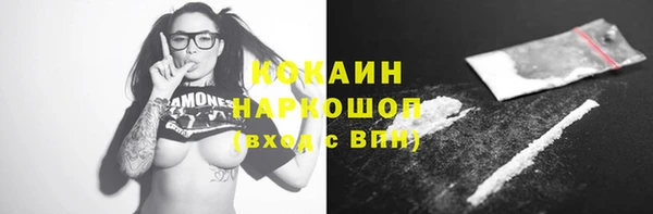 прущие грибы Михайлов