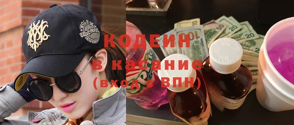прущие грибы Михайлов