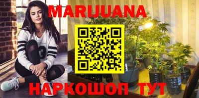 стаф Краснодар