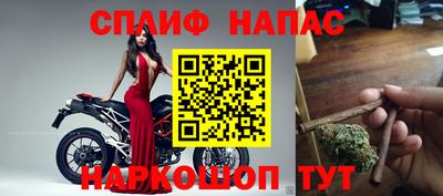 стаф Краснодар