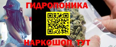 индика Краснознаменск
