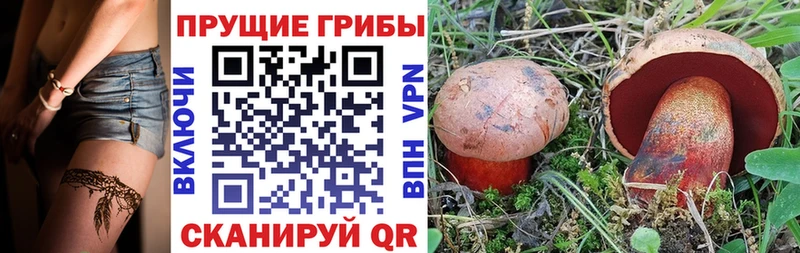 Псилоцибиновые грибы Psilocybe  наркота  Новодвинск 