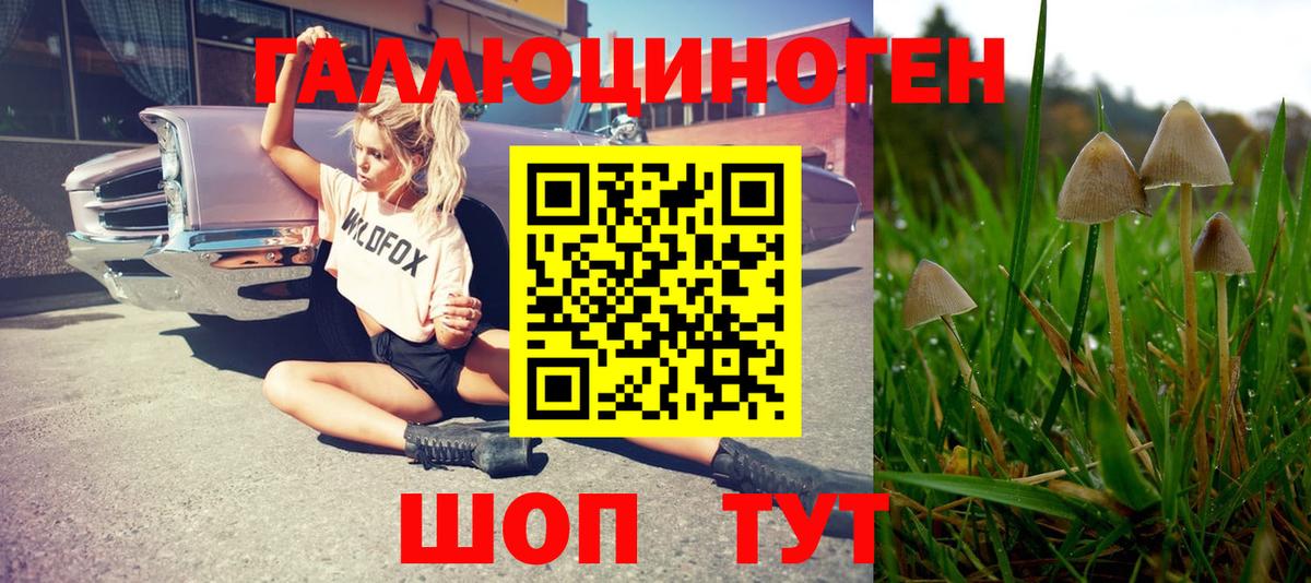 ГАШ  Вход с VPN  Кокаин  Меф кристаллы  ГАШИШ  Новодвинск  Канабис  Амфетамин кристаллы 