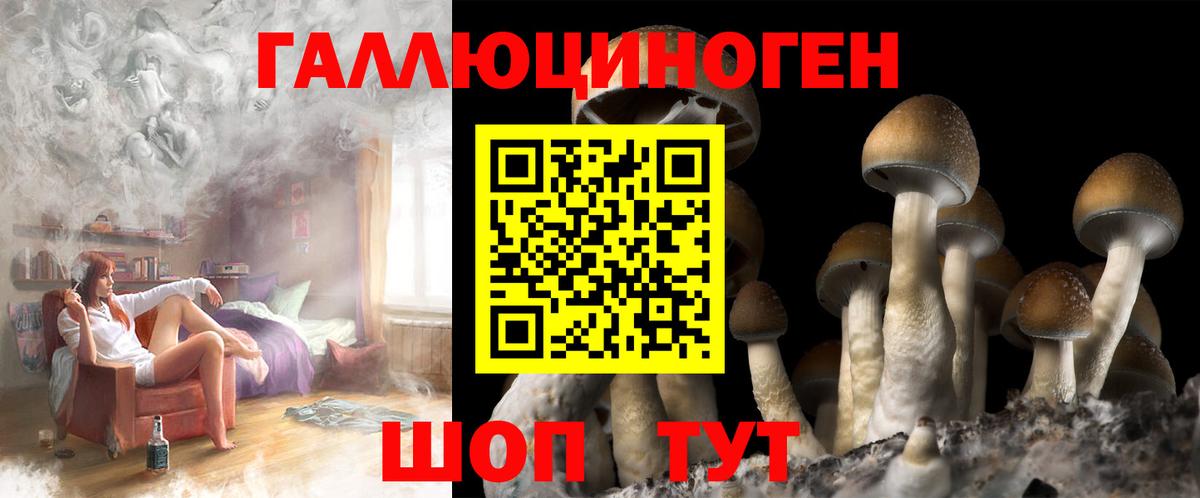 Псилоцибиновые грибы MAGIC MUSHROOMS Новодвинск