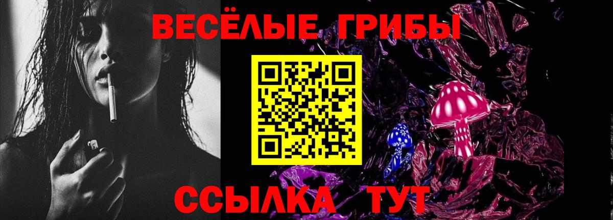 Новодвинск  Галлюциногенные грибы MAGIC MUSHROOMS  Вход с VPN  Галлюциногенные грибы мицелий 