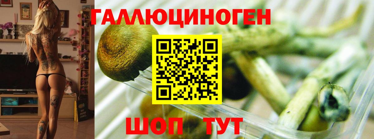 Галлюциногенные грибы мицелий Новодвинск